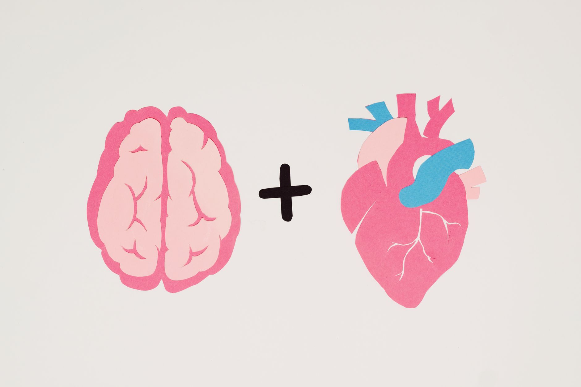Stylised illustration of fetal brain with DHA molecule overlay