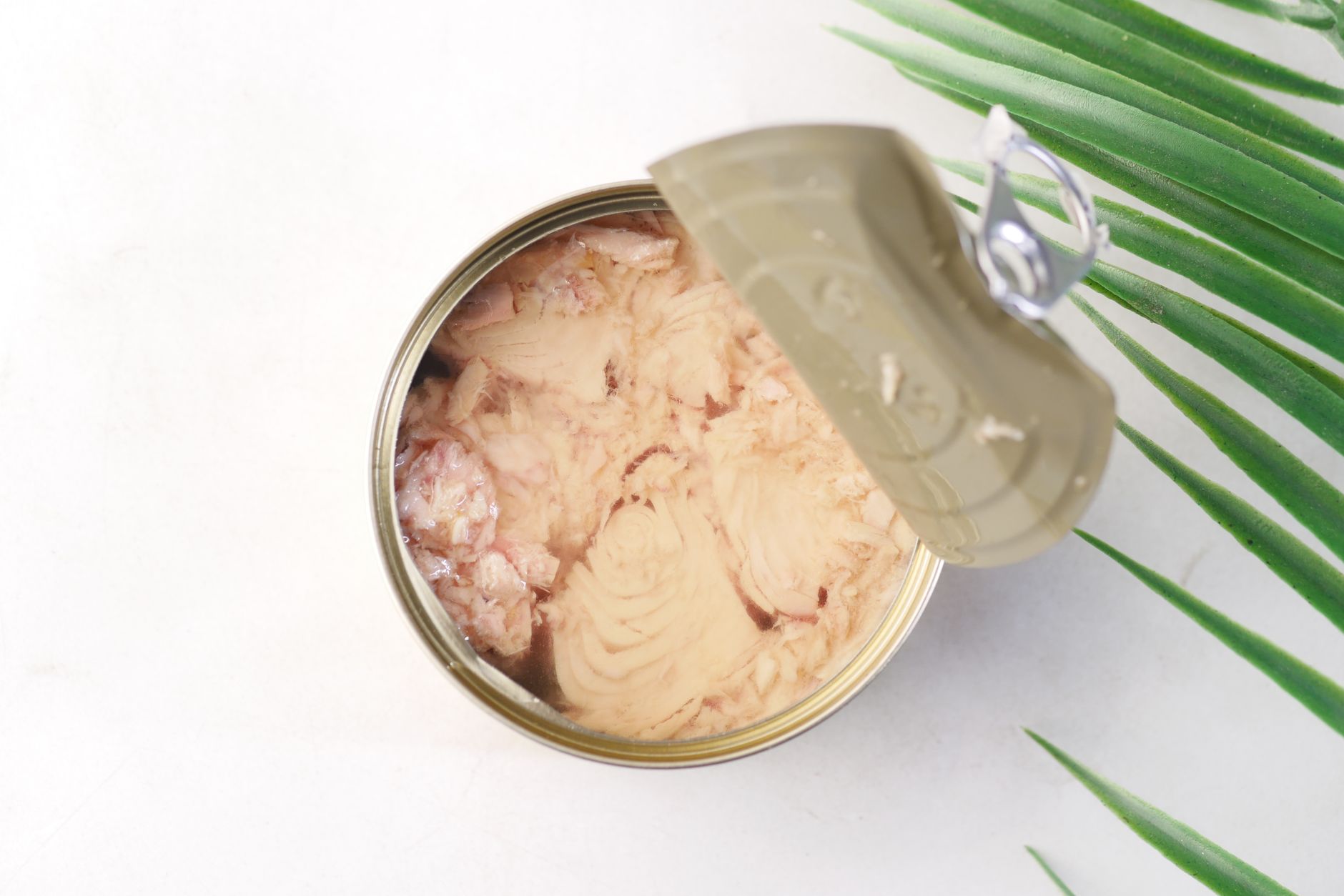 Three tins of tuna — skipjack, yellowfin + albacore — labelled by mercury level